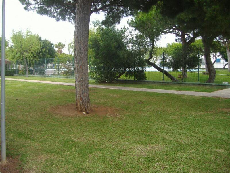 치클라나 데 라 프론테라 Playa De La Barrosa La Almadraba IV Fase "Interior" B-3 아파트 외부 사진